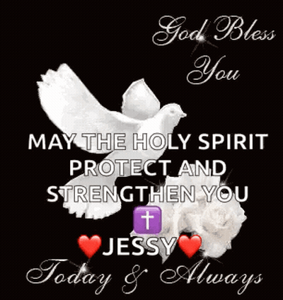 A Picture Of A Dove With The Words `` God Bless You May The Holy Spirit Protect And Strengthen You '' . GIF