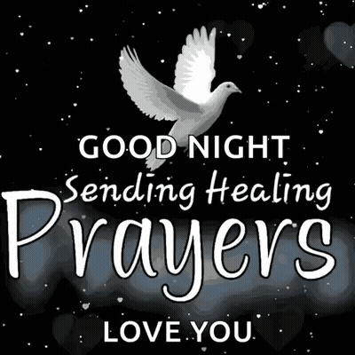 A Picture Of A Dove With The Words Good Night Sending Healing Prayers Love You . GIF