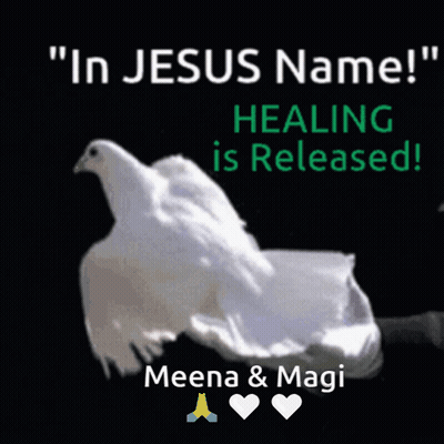 a picture of a dove with the words " in jesus name "