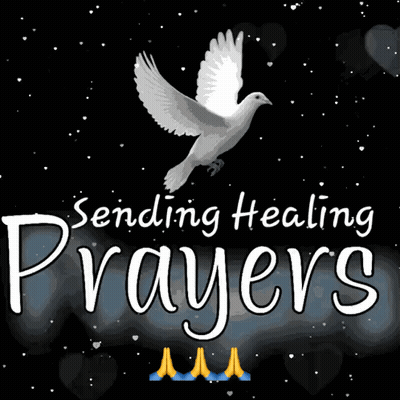 A Picture Of A Dove With The Words Sending Healing Prayers GIF