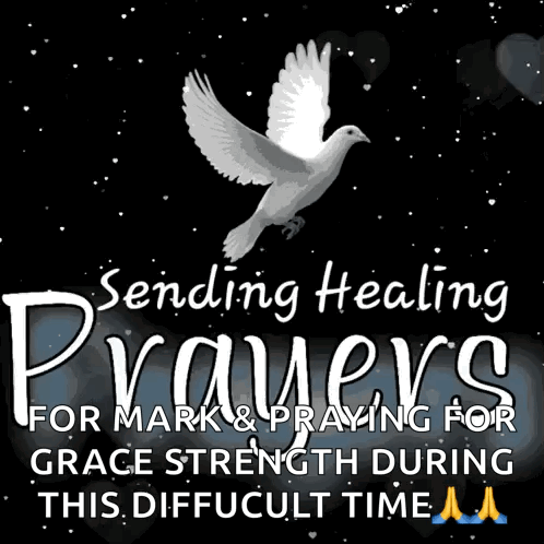 A Picture Of A Dove With The Words Sending Healing Prayers For Mark And Praying For Grace Strength During This Difficult GIF