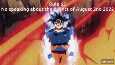 A Picture Of A Dragon Ball Z Character With The Words Rule 65 No Speaking About The Events Of August 2Nd 2020 At The Bot GIF