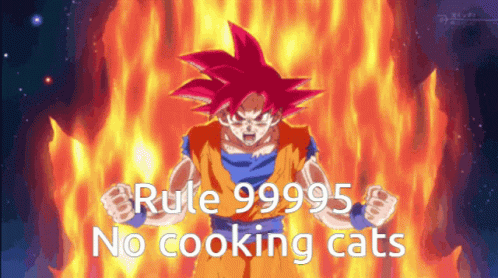 A Picture Of A Dragon Ball Z Character With The Words Rule 99995 No Cooking Cats GIF