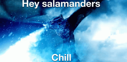 A Picture Of A Dragon With The Words Hey Salamanders Chill On It GIF