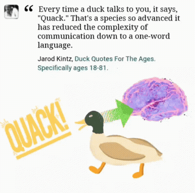 A Picture Of A Duck And A Quote From Jarod Kitz GIF