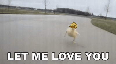 A Picture Of A Duck On A Road With The Words Let Me Love You GIF