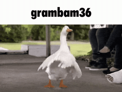 A Picture Of A Duck With The Name Grambam36 On The Top GIF