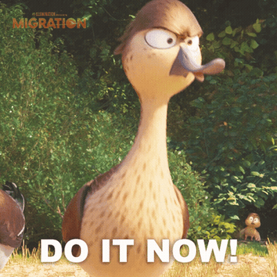 A Picture Of A Duck With The Words Do It Now Written Below It GIF