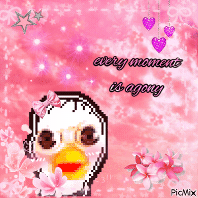 A Picture Of A Duck With The Words Every Moment Is Agony On It GIF