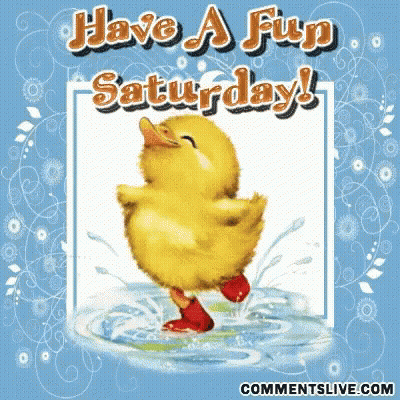 A Picture Of A Duck With The Words Have A Fun Saturday On It GIF