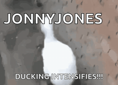 A Picture Of A Duck With The Words Jonnyjones Ducking Intensifies Written On It GIF