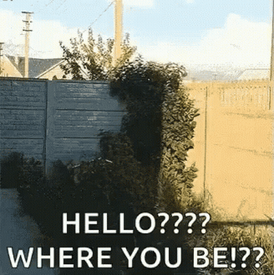 A Picture Of A Fence With The Words Hello Where You Be On It GIF