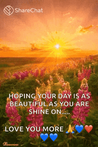 A Picture Of A Field Of Flowers With A Message That Says Hoping Your Day Is As Beautiful As You Are Shine On GIF