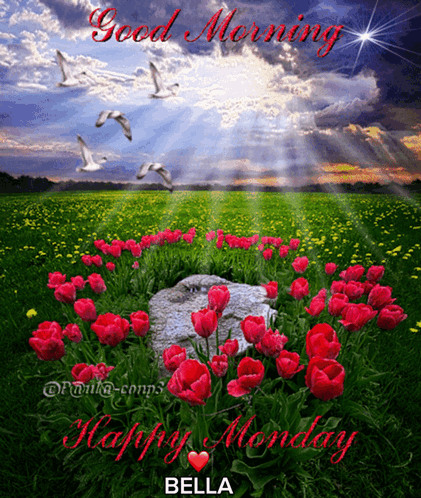 A Picture Of A Field Of Flowers With The Words Good Morning Happy Monday Bella GIF