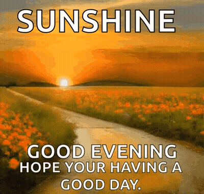 A Picture Of A Field Of Flowers With The Words " Sunshine Good Evening Hope Your Having A Good Day " GIF