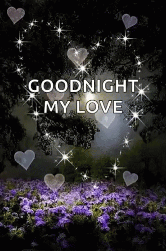 A Picture Of A Field Of Purple Flowers With The Words `` Goodnight My Love '' Written On It . GIF