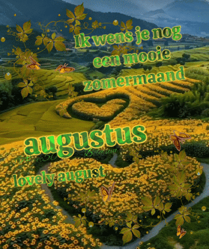 A Picture Of A Field Of Yellow Flowers With The Words Augustus Lovely August On It GIF