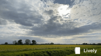 A Picture Of A Field With The Word Lively On The Bottom Right GIF