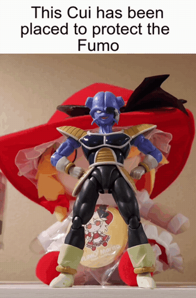 A Picture Of A Figurine With A Caption That Says This Cui Has Been Placed To Protect The Fumo GIF