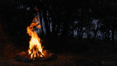 A Picture Of A Fire In The Woods Was Taken By A Person Named The Black GIF