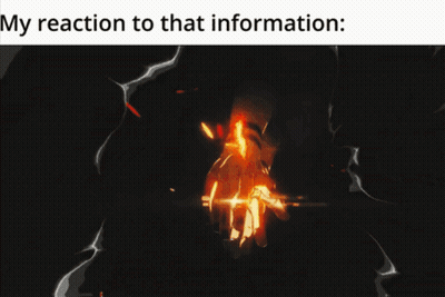 A Picture Of A Fire With The Words My Reaction To That Information Below It GIF