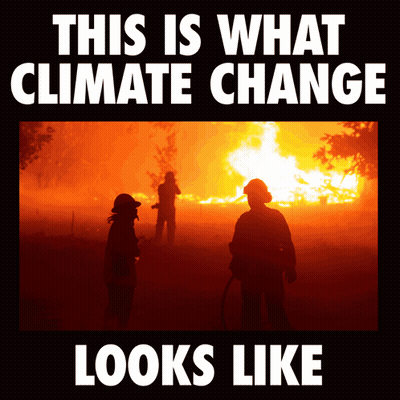 A Picture Of A Fire With The Words " This Is What Climate Change Looks Like " GIF