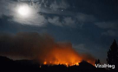 A Picture Of A Fire With The Words Viralhog On The Bottom Left GIF
