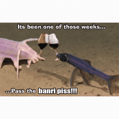A Picture Of A Fish With A Caption That Says " It 'S Been One Of Those Weeks Pass The Banri Piss !!! " GIF