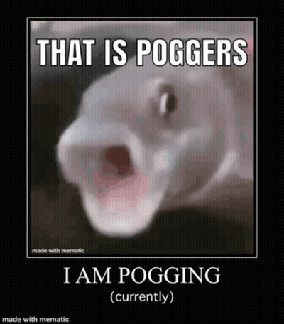 A Picture Of A Fish With Its Mouth Open And The Caption That Is Poggers I Am Pogging Currently GIF