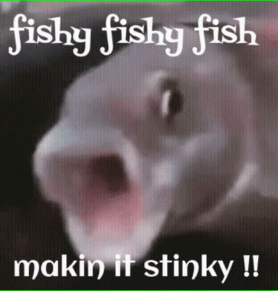 A Picture Of A Fish With Its Mouth Open And The Words Fishy Fishy Fish Makin It Stinky GIF