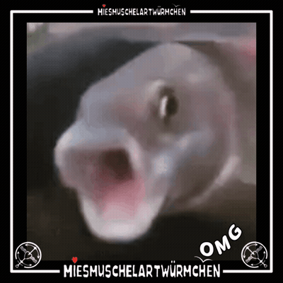 A Picture Of A Fish With Its Mouth Open And The Words Omg Written Below It GIF