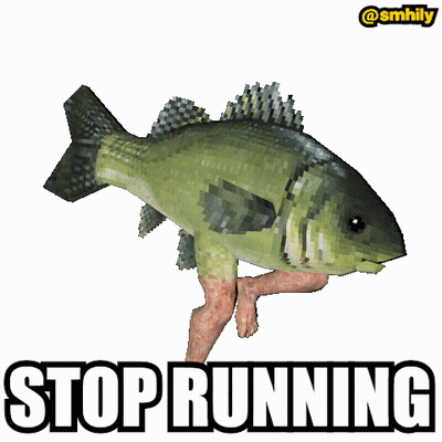 A Picture Of A Fish With Legs And The Words Stop Running Below It GIF
