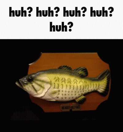 A Picture Of A Fish With The Words Huh Huh Huh Huh On It GIF