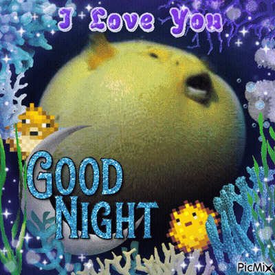 A Picture Of A Fish With The Words " I Love You Good Night " On It GIF