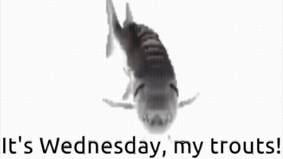 A Picture Of A Fish With The Words It 'S Wednesday My Trouts GIF