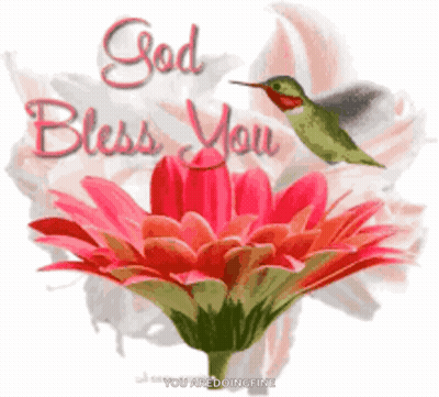 A Picture Of A Flower And A Hummingbird With The Words God Bless You GIF