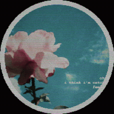 A Picture Of A Flower In A Circle With The Words " I Think I 'M Crazy " Below It GIF