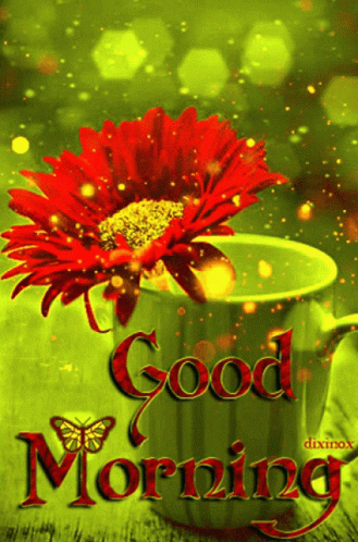 Flower In Cup With Good Morning Text GIF