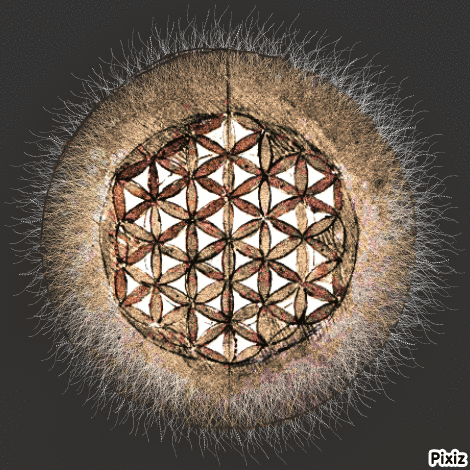 A Picture Of A Flower Of Life With Pixiz On The Bottom Right GIF