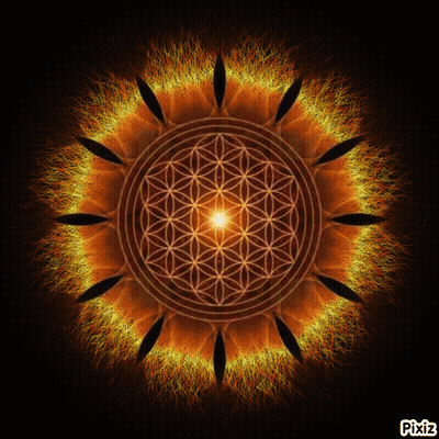 A Picture Of A Flower Of Life With Pixiz Written Below It GIF