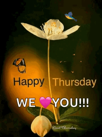 A Picture Of A Flower With A Butterfly And The Words Happy Thursday We Love You . GIF