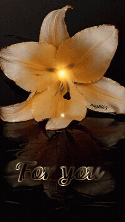 A Picture Of A Flower With The Words " For You " Below It GIF