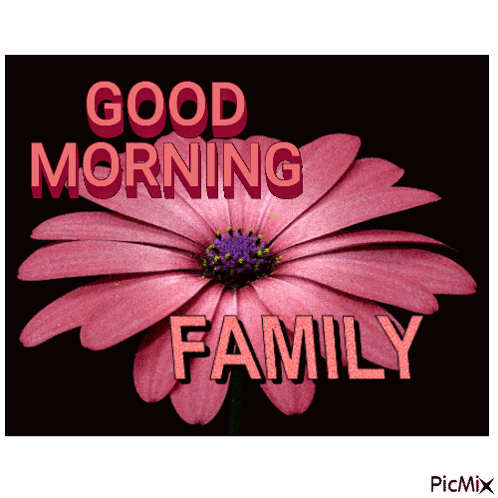 A Picture Of A Flower With The Words Good Morning Family GIF