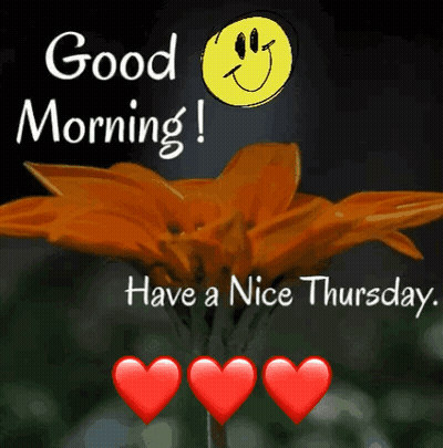 A Picture Of A Flower With The Words Good Morning Have A Nice Thursday . GIF