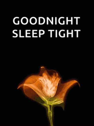 A Picture Of A Flower With The Words `` Goodnight Sleep Tight '' Written Below It . GIF