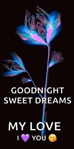 A Picture Of A Flower With The Words Goodnight Sweet Dreams My Love I Heart You GIF