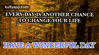 A Picture Of A Forest With The Words " Every Day Is Another Chance To Change Your Life Have A Wonderful Day " Below It GIF