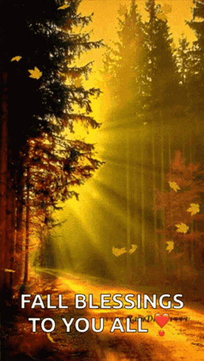 A Picture Of A Forest With The Words " Fall Blessings To You All " On It GIF