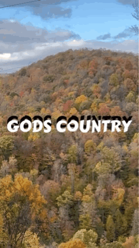 A Picture Of A Forest With The Words Gods Country GIF