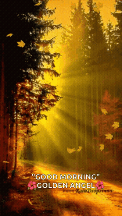 A Picture Of A Forest With The Words Good Morning Golden Angel GIF